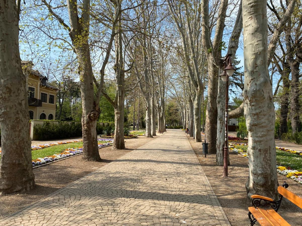 Gosztonyi Villa Σίοφοκ Εξωτερικό φωτογραφία