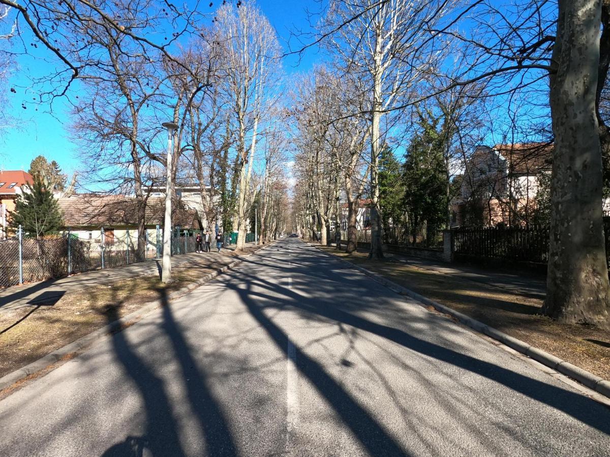 Gosztonyi Villa Σίοφοκ Εξωτερικό φωτογραφία
